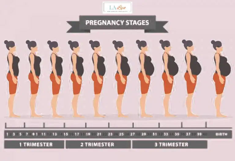 First Trimester (Weeks 1–12): Early Changes You Might Not Notice Gateshead
